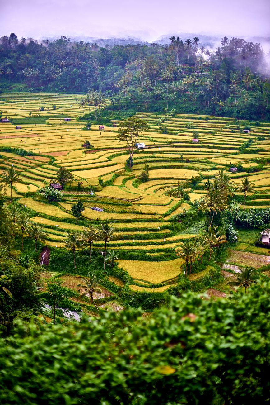 Indonezja (Bali) 3