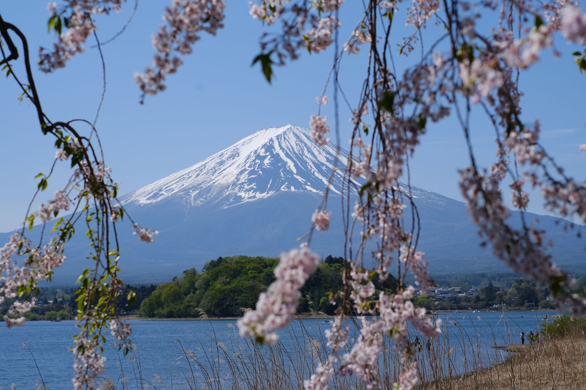 Japonia 1