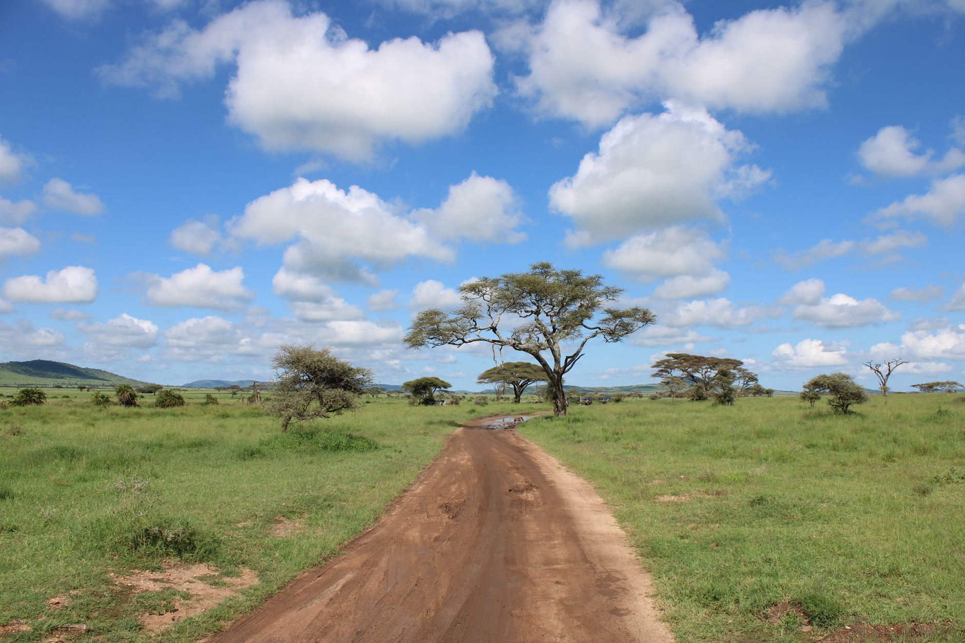 Tanzania 1